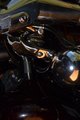 ../thumbnails/033-DSC_0938.JPG.small.jpeg